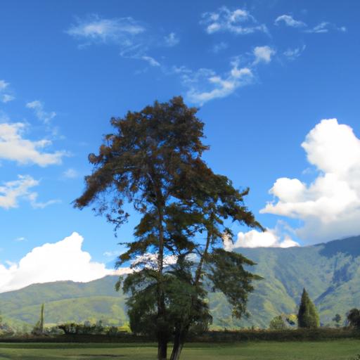 Explora opciones de excursiones económicas en Tailandia con agencias